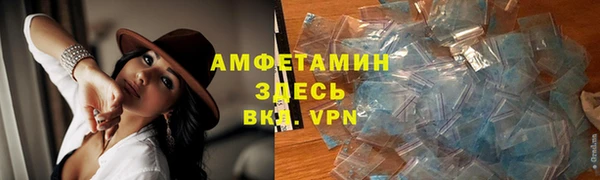 стафф Алзамай