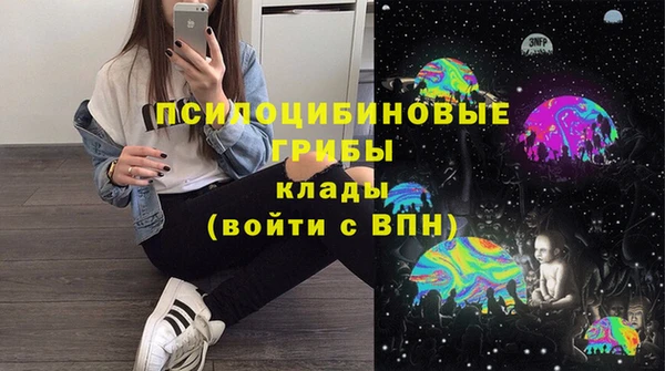 стафф Алзамай