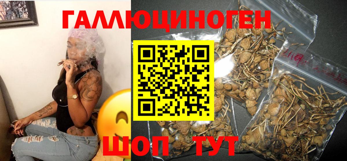Минусинск  Галлюциногенные грибы Psilocybine cubensis  Псилоцибиновые грибы прущие грибы  Вход с VPN 