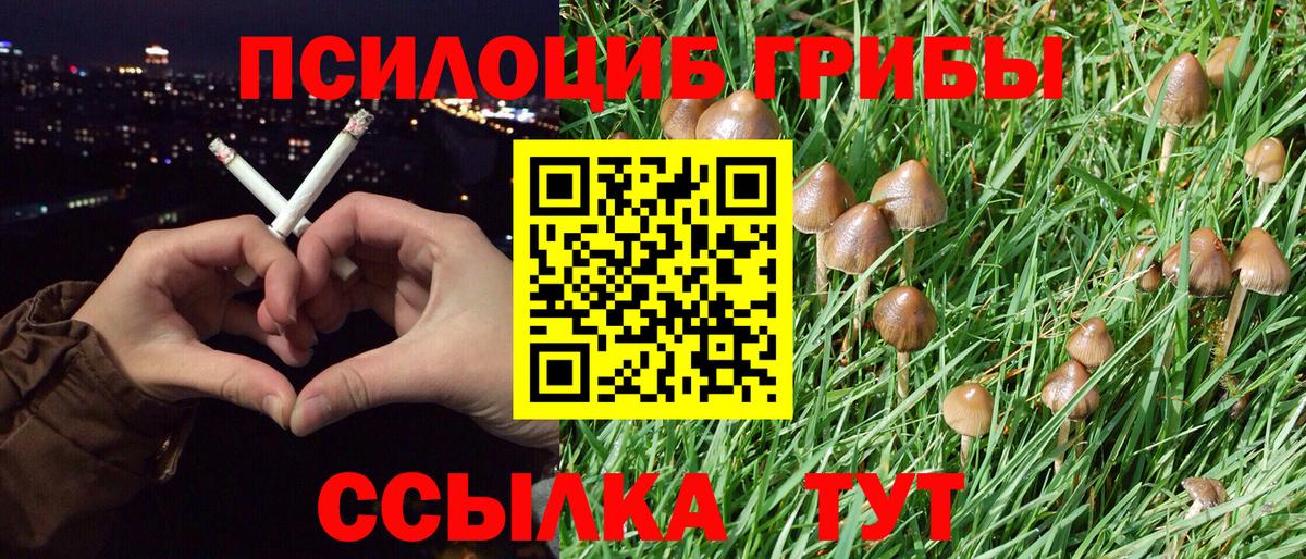 Галлюциногенные грибы MAGIC MUSHROOMS Минусинск